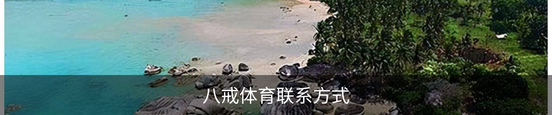 八戒体育联系方式