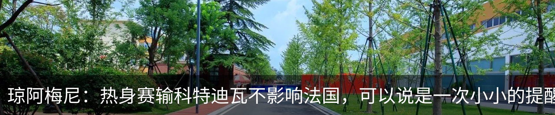 最新动态
